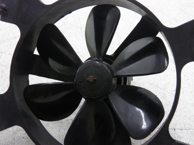 photo de FAN PEUGEOT ELYSEO 125 (1999 - 2004)