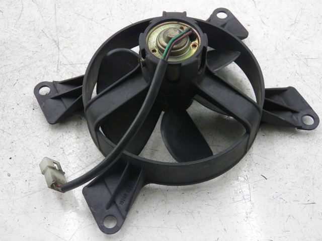 photo de FAN PEUGEOT ELYSEO 125 (1999 - 2004)