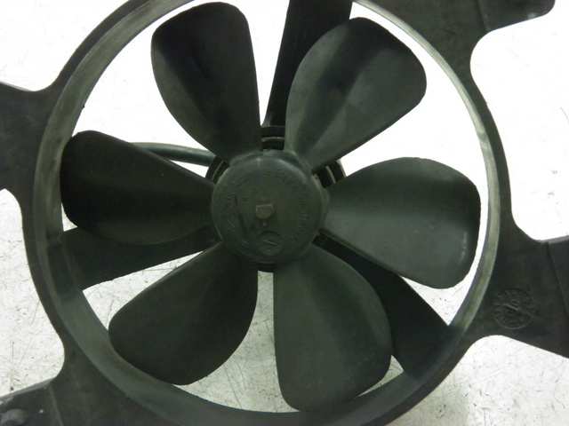 photo de FAN PEUGEOT ELYSEO 125 (1999 - 2004)