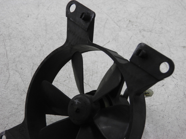 photo de FAN PEUGEOT ELYSEO 125 (1999 - 2004)