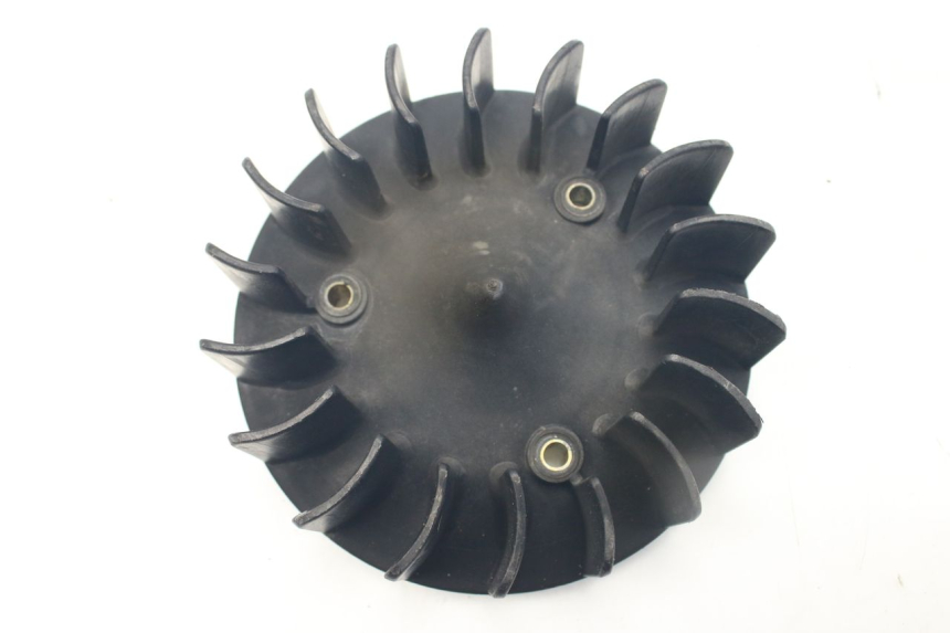 photo de FAN PEUGEOT LUDIX SNAKE 2T 50 (2004 - 2014)