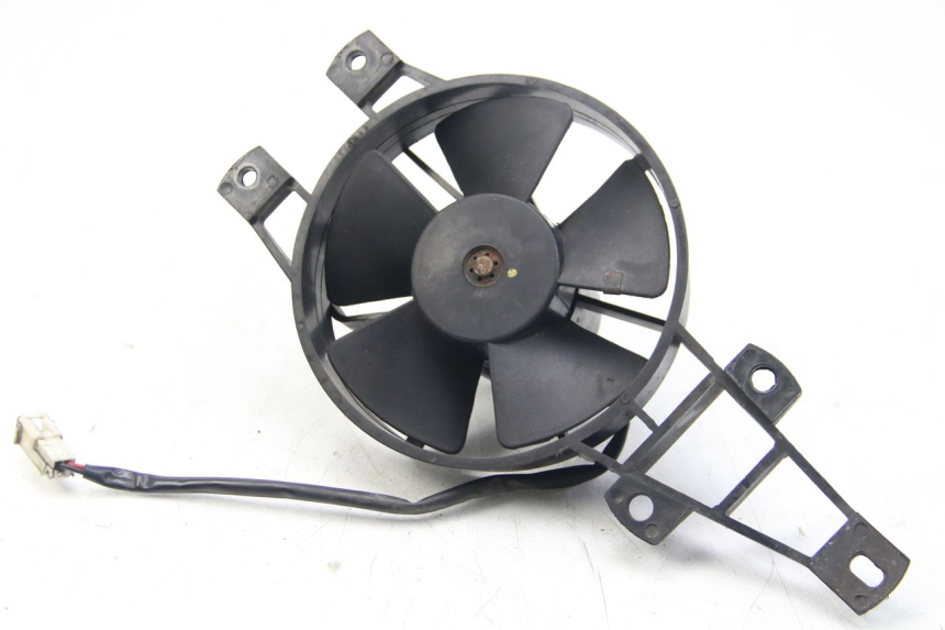 photo de FAN PIAGGIO BEVERLY 125 (2010 - 2015)