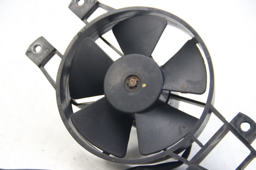 photo de FAN PIAGGIO BEVERLY 125 (2010 - 2015)