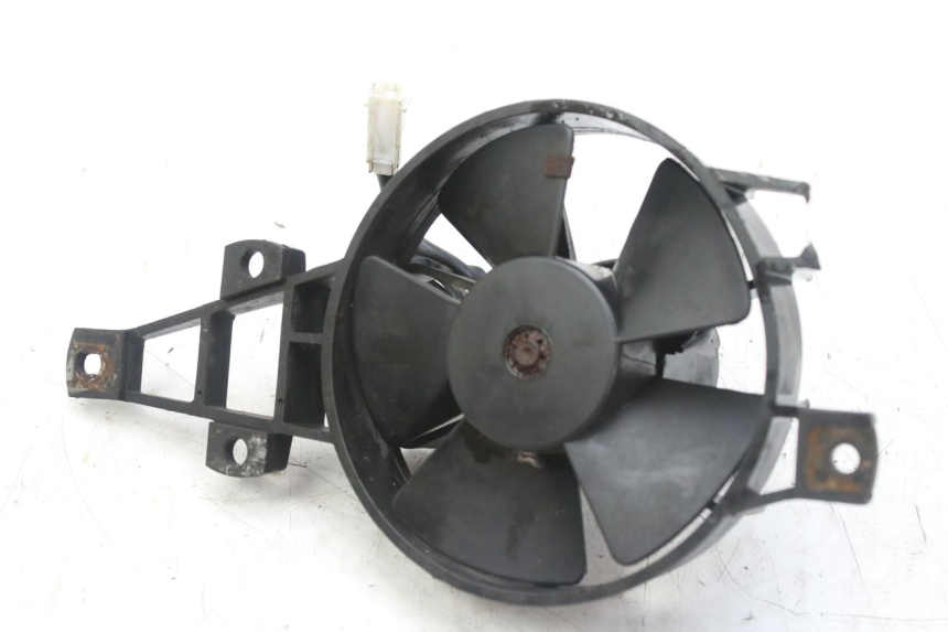 photo de FAN PIAGGIO MP3 RL 250 (2007 - 2010)