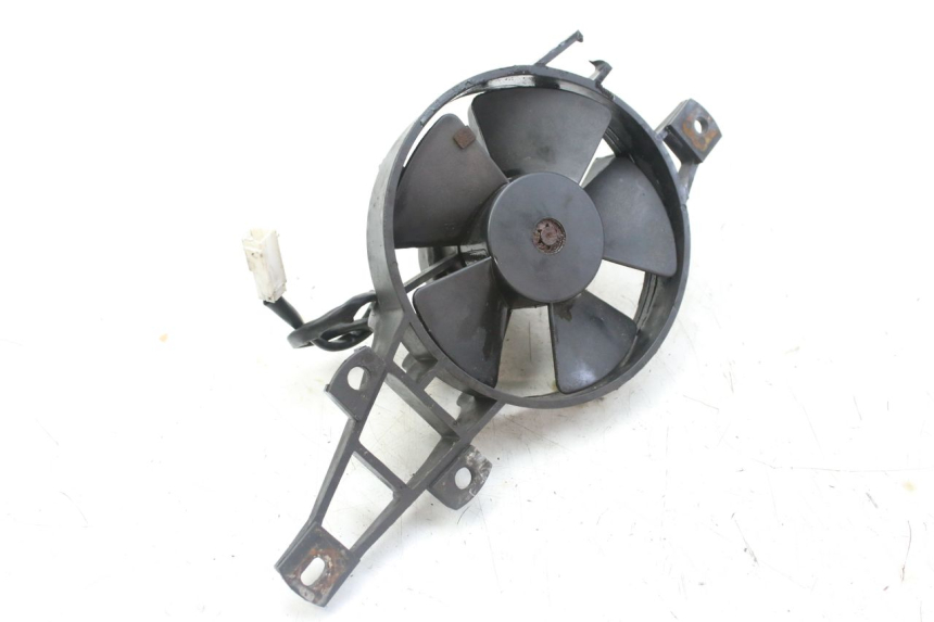 photo de FAN PIAGGIO MP3 RL 250 (2007 - 2010)