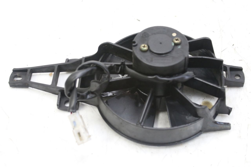 photo de FAN PIAGGIO MP3 RL 250 (2007 - 2010)