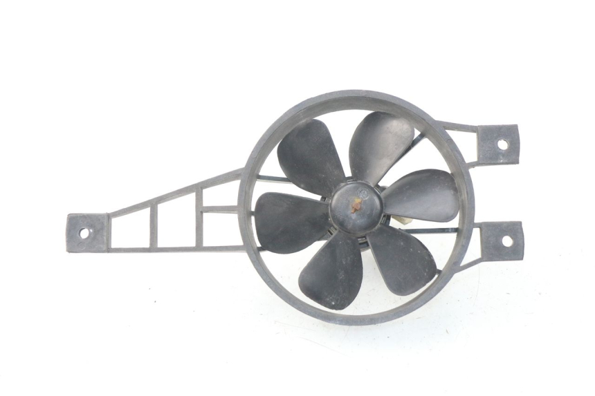 photo de FAN PEUGEOT SATELIS 300 (2012 - 2015)