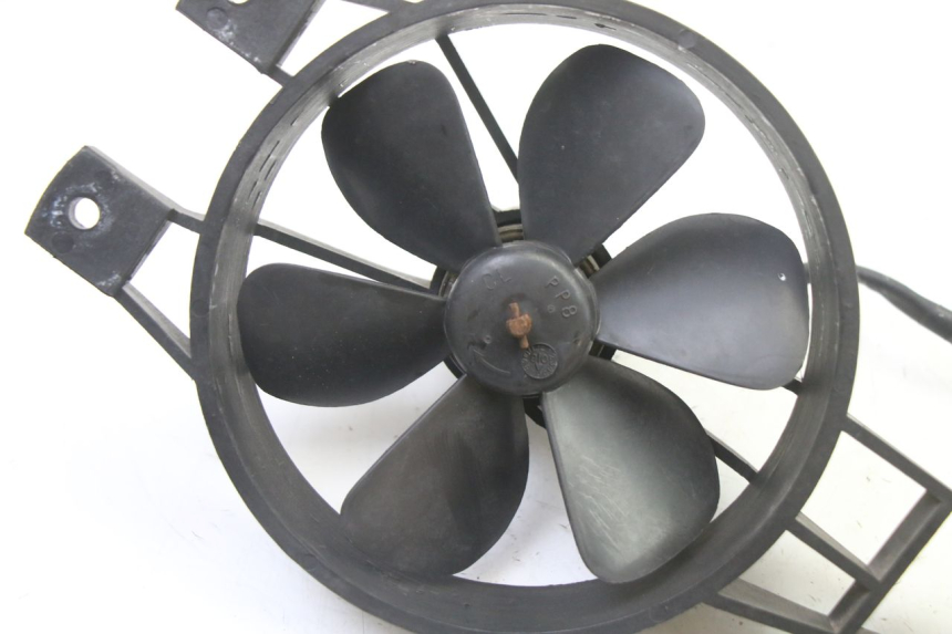 photo de FAN PEUGEOT SATELIS 250 (2006 - 2012)