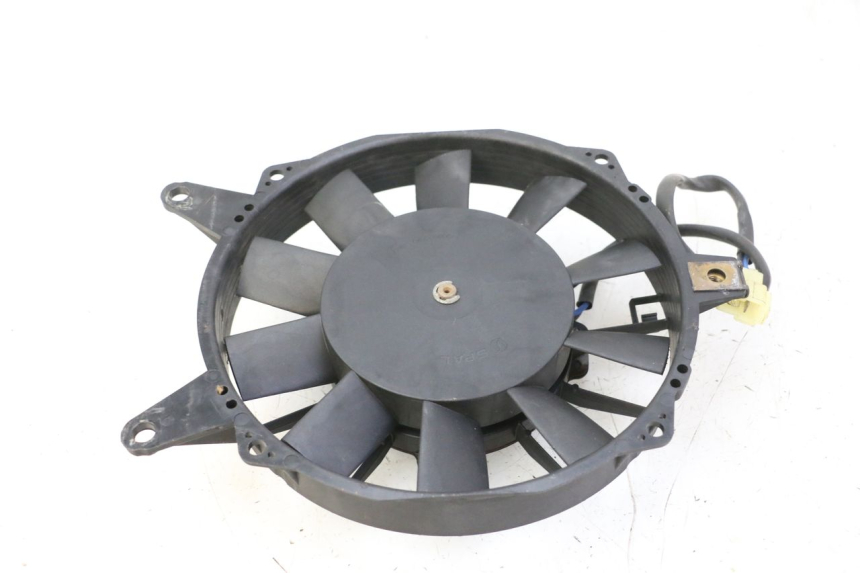photo de FAN TRIUMPH SPRINT 900 (1995 - 1998)