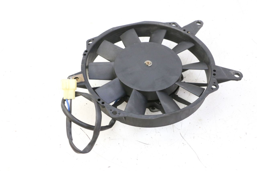 photo de FAN TRIUMPH SPRINT 900 (1995 - 1998)