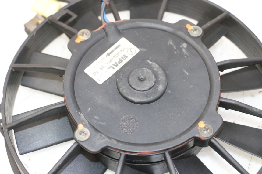 photo de FAN TRIUMPH SPRINT 900 (1995 - 1998)