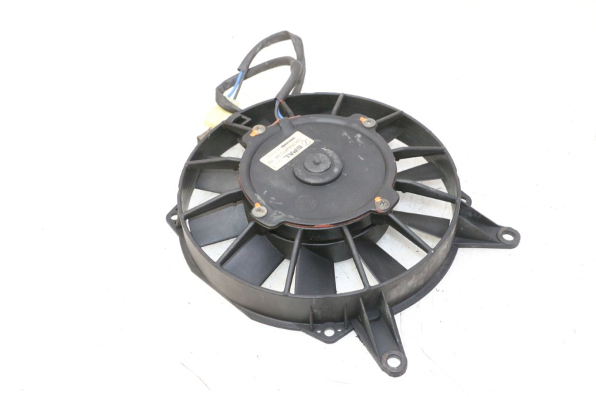 photo de FAN TRIUMPH SPRINT 900 (1995 - 1998)