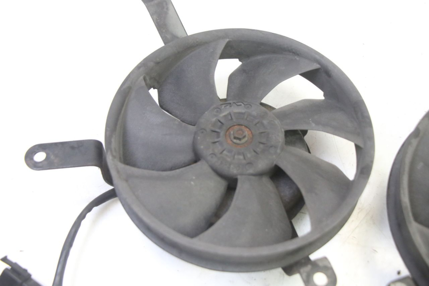 photo de FAN HONDA ST PAN EUROPEAN 1300 (2002 - 2013)