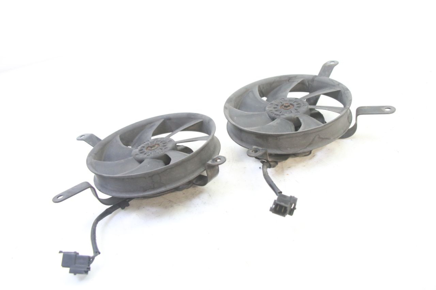 photo de FAN HONDA ST PAN EUROPEAN 1300 (2002 - 2013)