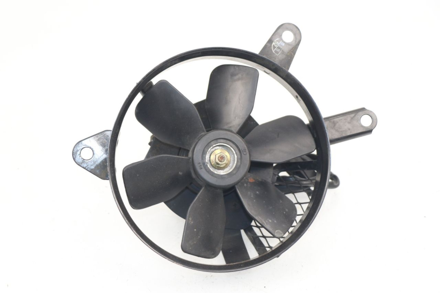 photo de FAN SUZUKI SV N 650 (1999 - 2002)