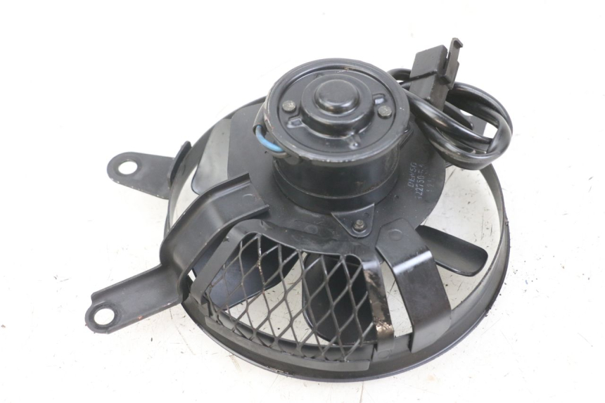 photo de FAN SUZUKI SV N 650 (1999 - 2002)