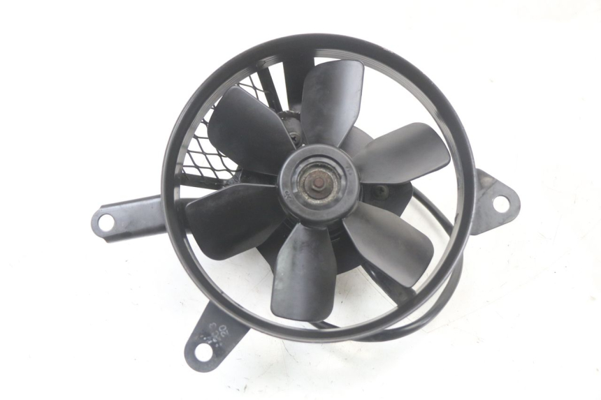 photo de FAN SUZUKI SV S 650 (1999 - 2002)