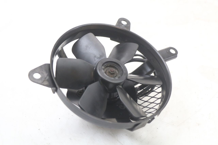 photo de FAN SUZUKI SV S 650 (1999 - 2002)