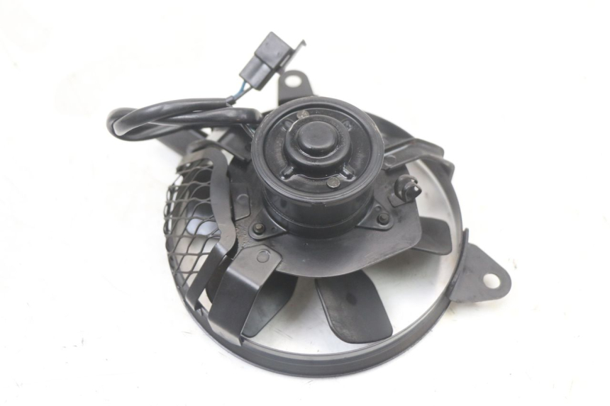 photo de FAN SUZUKI SV S 650 (1999 - 2002)