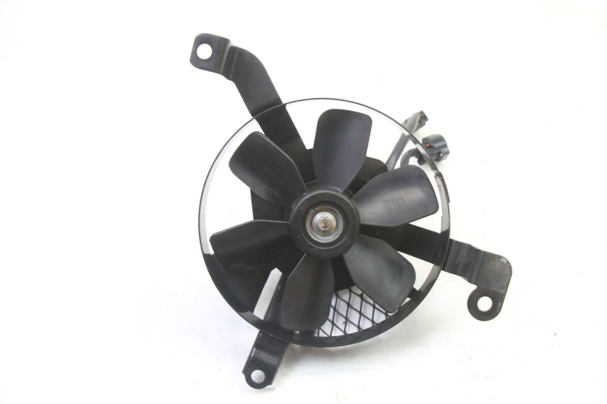 photo de FAN SUZUKI SV S 650 (2003 - 2009)