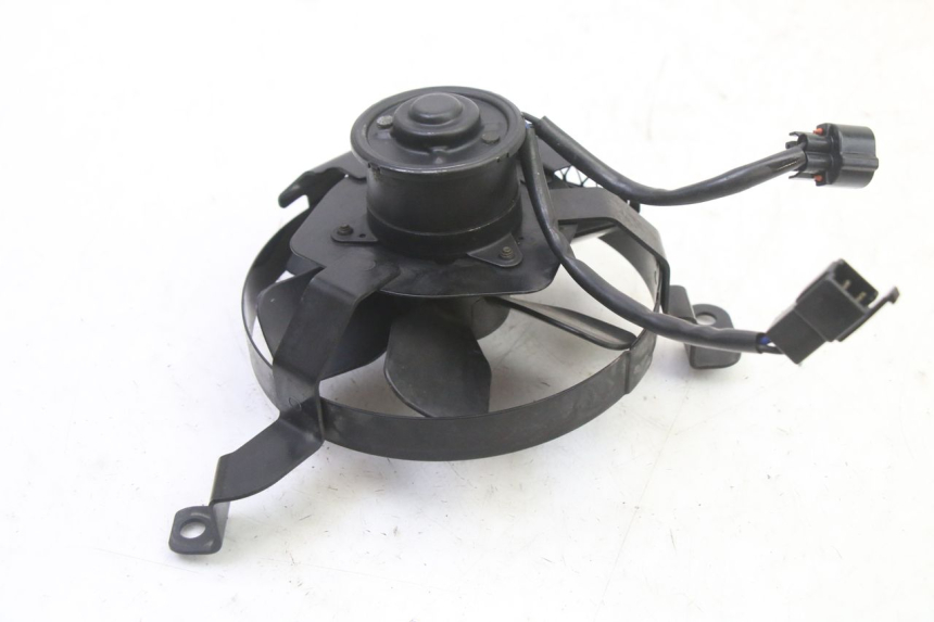 photo de FAN SUZUKI SV S 650 (2003 - 2009)