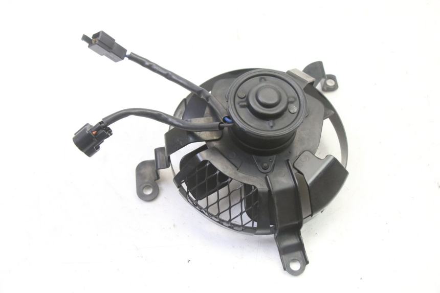 photo de FAN SUZUKI SV S 650 (2003 - 2009)