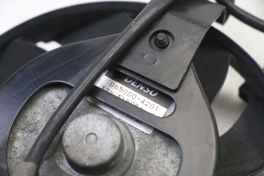 photo de FAN YAMAHA XJ6 ABS 600 (2008 - 2016)