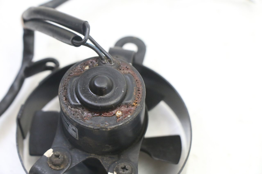 photo de FAN HONDA XLV VARADERO 125 (2000 - 2006)