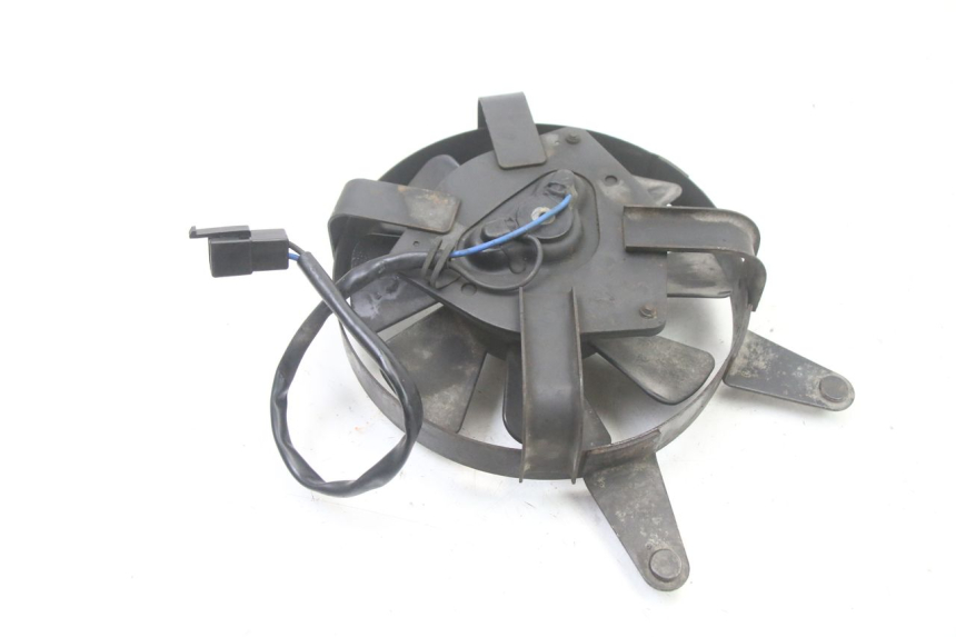 photo de FAN YAMAHA FZS FAZER 600 (2001 - 2003)