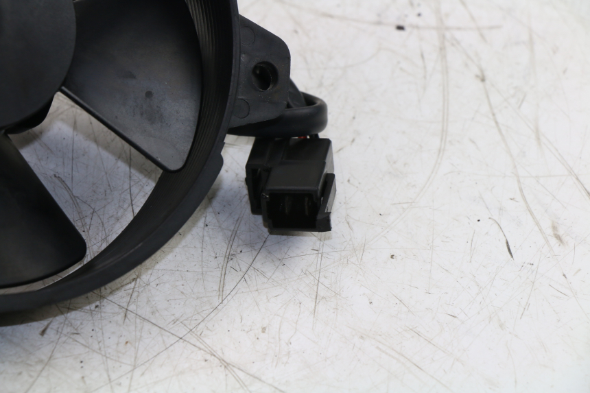 photo de FAN YAMAHA YP MAJESTY 125 (2002 - 2006)