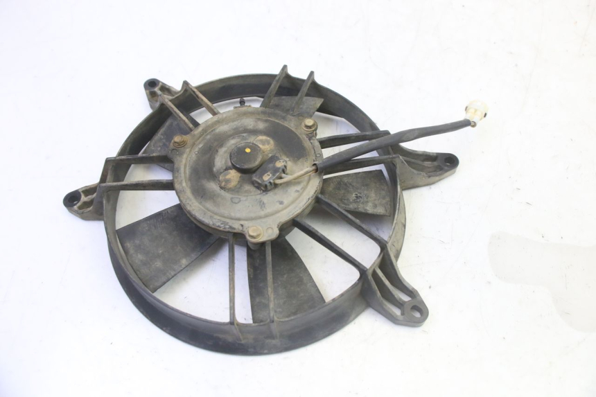 photo de FAN YAMAHA YFM GRIZZLY 550 (2008 - 2015)