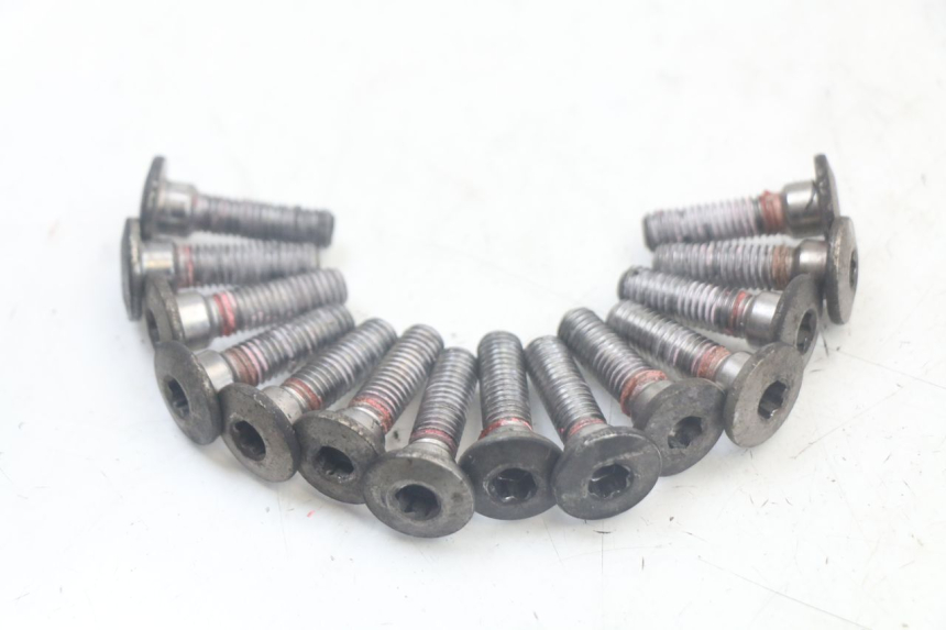 photo de BRAKE DISC BOLT KAWASAKI ER-6 ER6 N 650 (2012 - 2016)