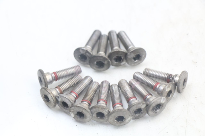 photo de BRAKE DISC BOLT KAWASAKI VERSYS ABS 650 (2015 - 2018)