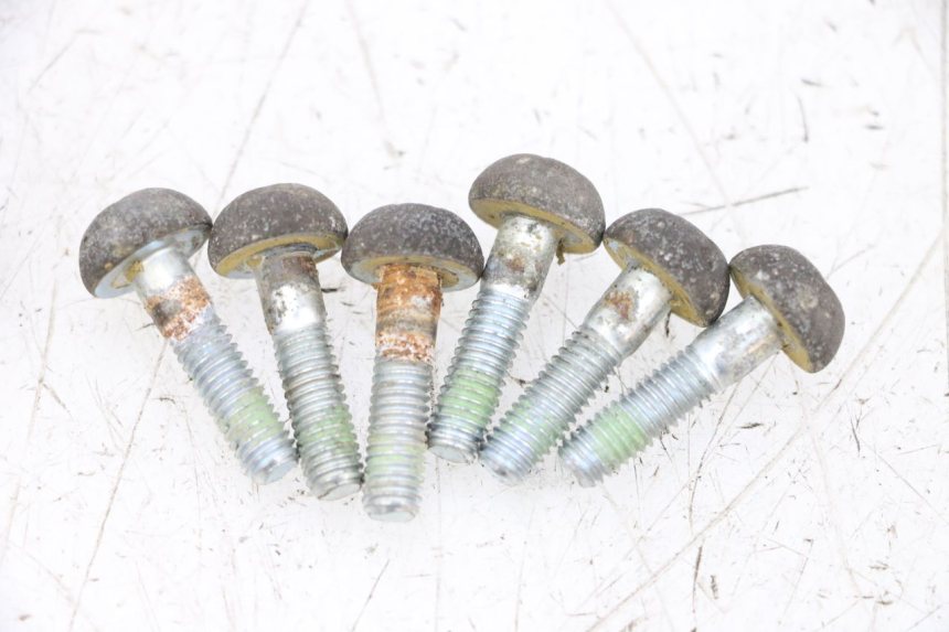 photo de BRAKE DISC BOLT HONDA NSR R 125 (1994 - 2003) - Surface and material condition