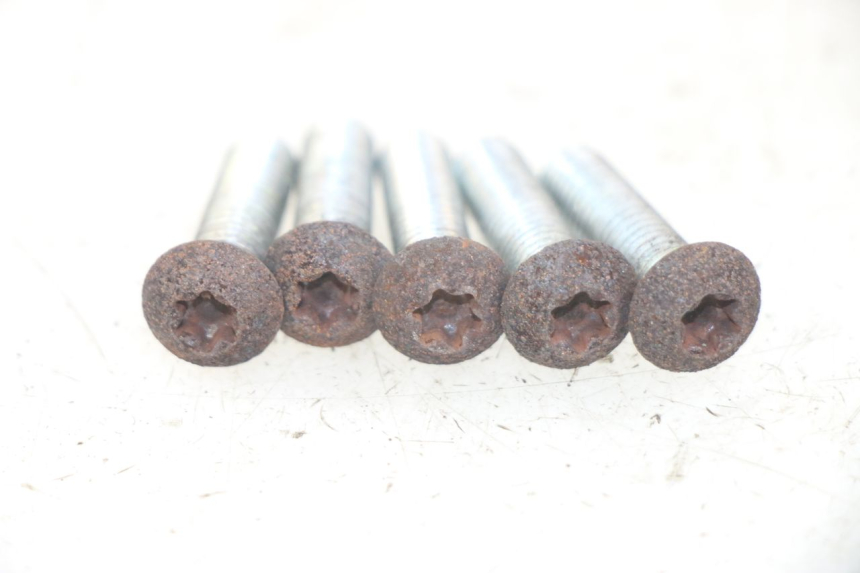 photo de BRAKE DISC BOLT PEUGEOT GEOPOLIS RS 125 (2007 - 2009)