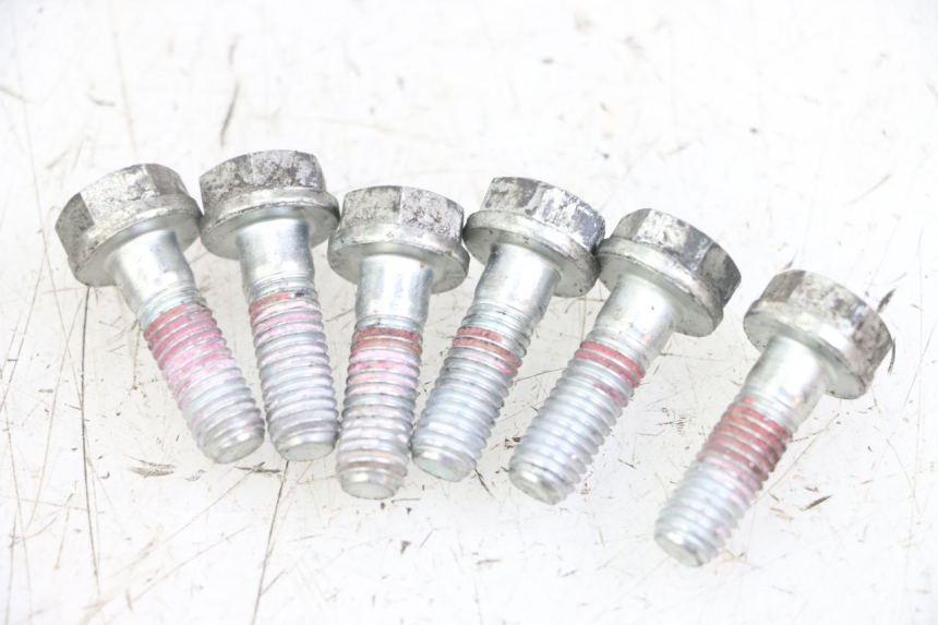 photo de BRAKE DISC BOLT ROYAL ENFIELD HYMALAYAN 410 (2016 - 2023)