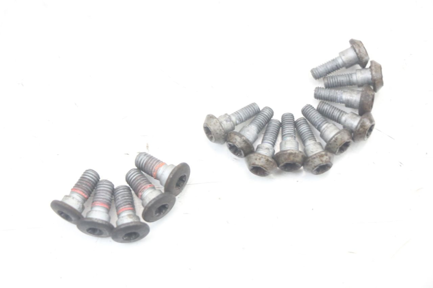 photo de BRAKE DISC BOLT YAMAHA FZ1 FAZER 1000 (2007 - 2009)